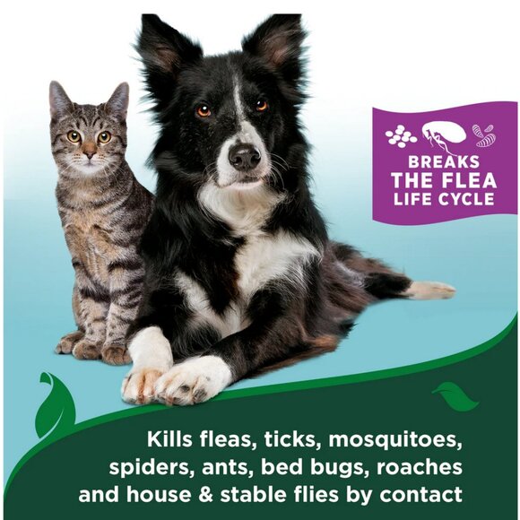NEW! Flea and Tick Cat Easy Spray – Cotton Spice Scent - Picture 4 of 6